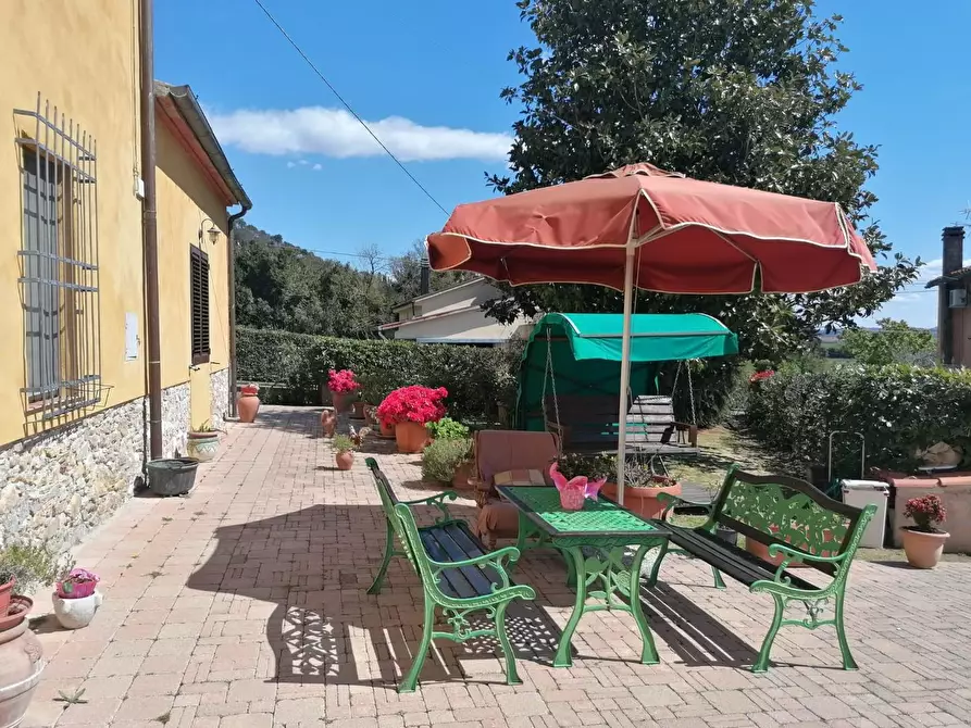 Immagine 3 di Rustico / casale in vendita  a Vicopisano