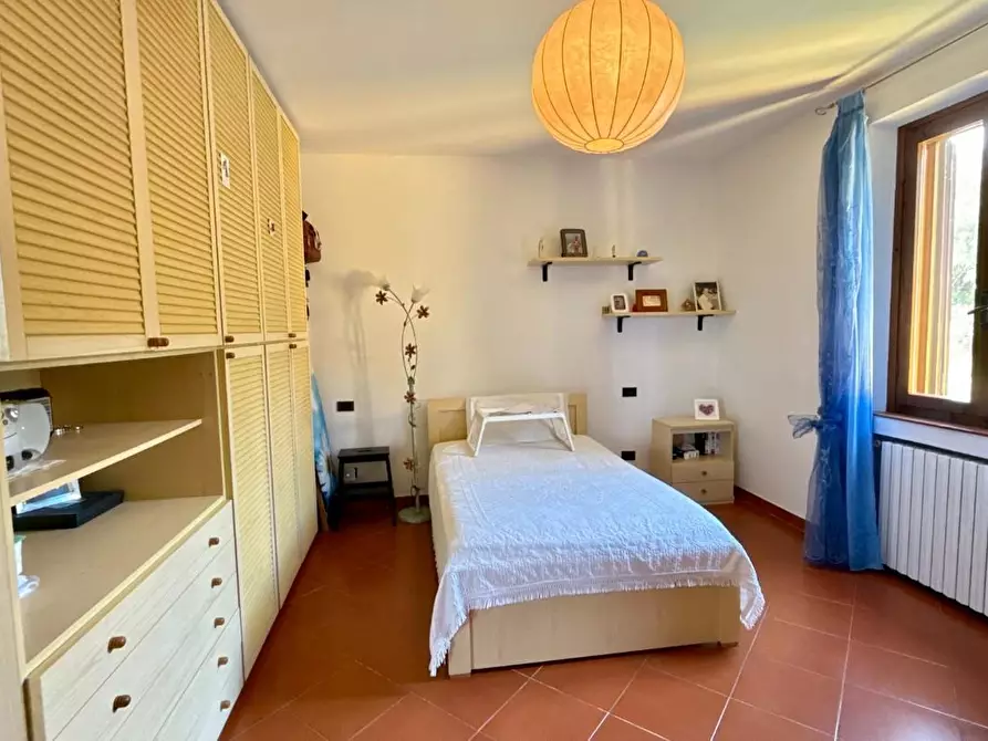 Immagine 32 di Rustico / casale in vendita  a Vicopisano