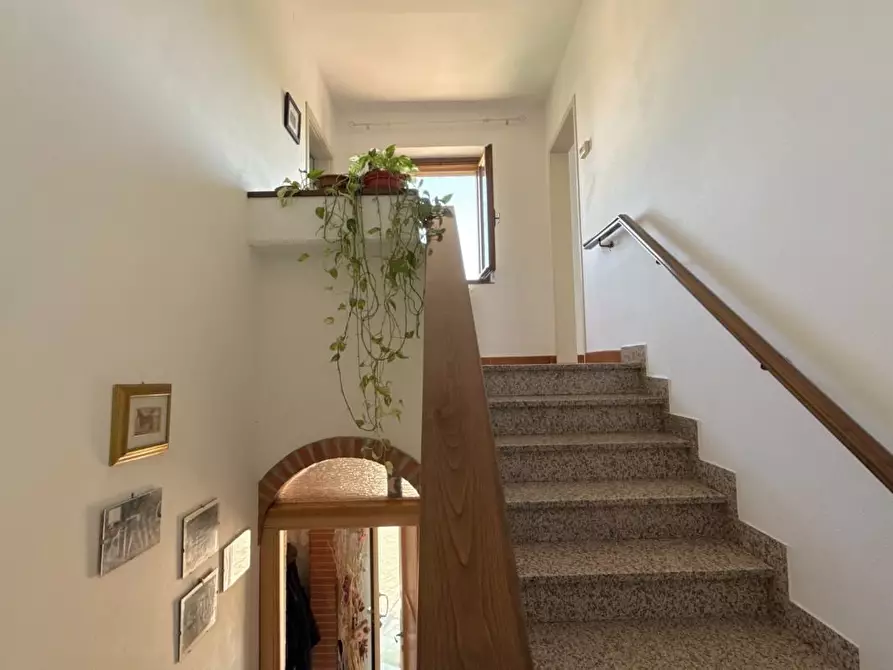 Immagine 29 di Rustico / casale in vendita  a Vicopisano