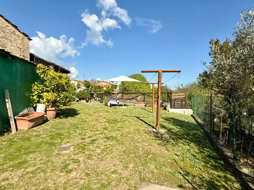 Immagine 49 di Rustico / casale in vendita  a Vicopisano