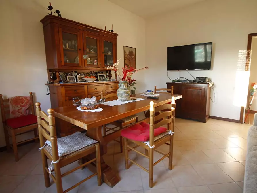 Immagine 3 di Appartamento in vendita  a Vinci