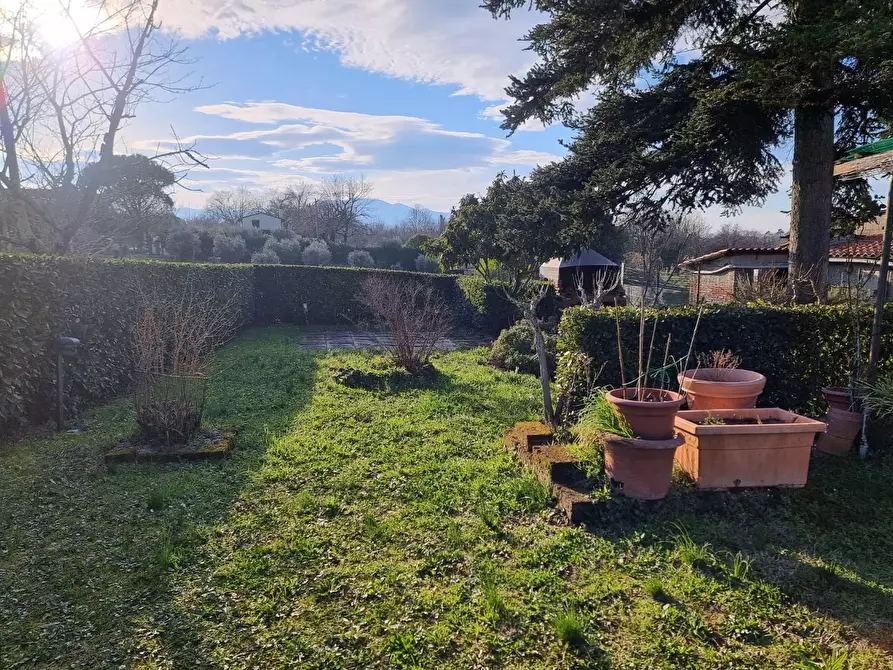 Immagine 3 di Terratetto in vendita  a Santa Croce Sull'arno