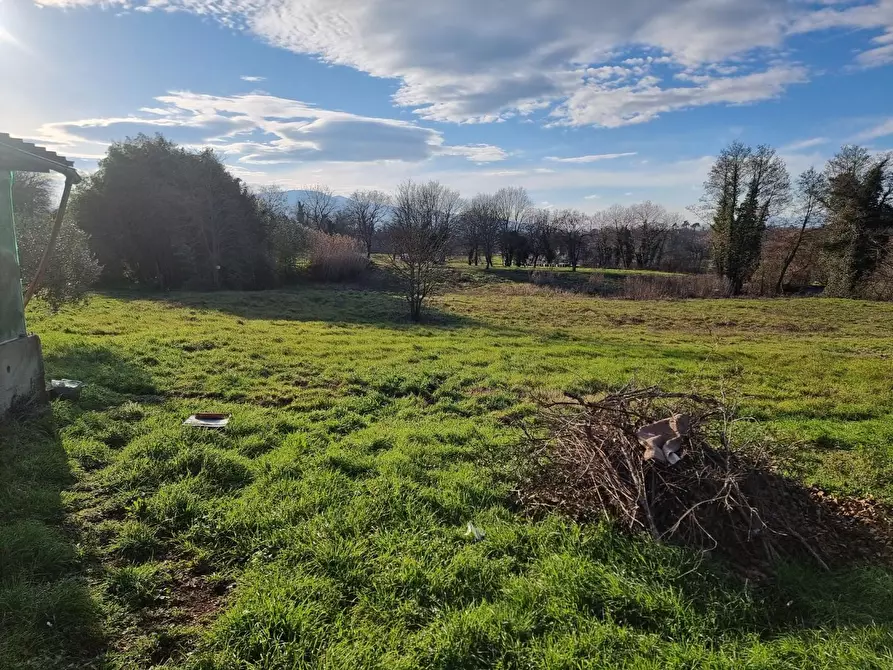 Immagine 8 di Terratetto in vendita  a Santa Croce Sull'arno