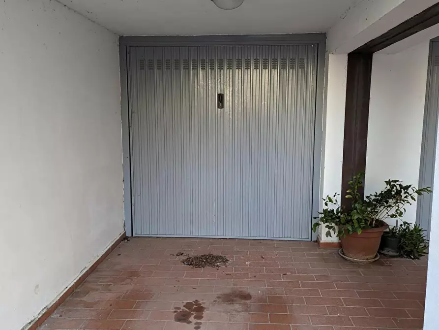 Immagine 10 di Appartamento in vendita  a Rosignano Marittimo