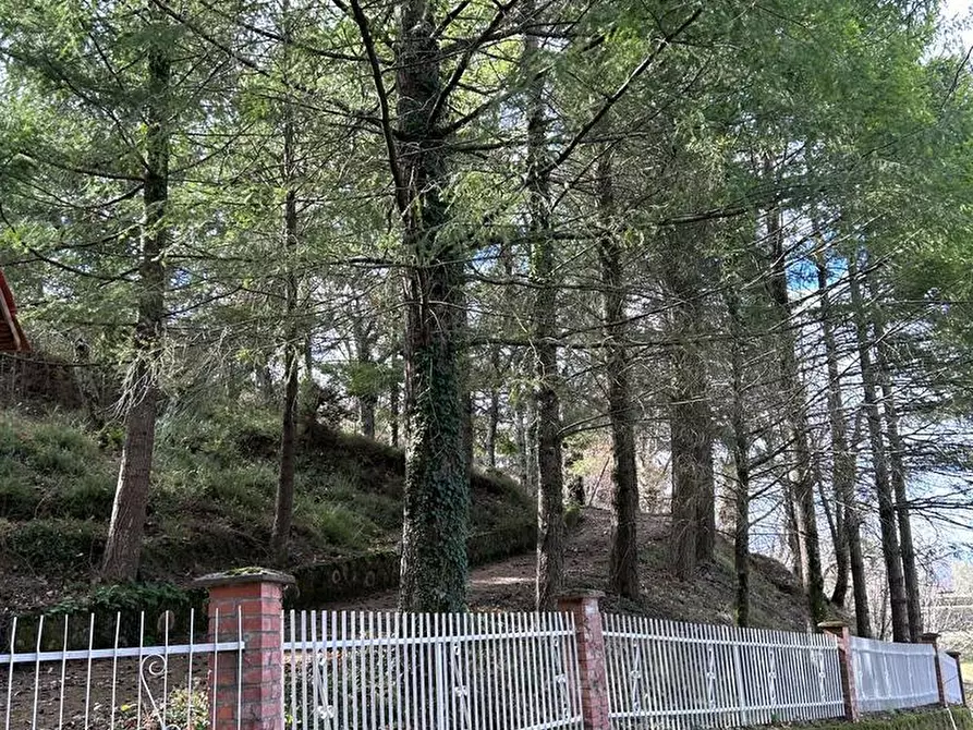 Immagine 28 di Casa indipendente in vendita  a Fosdinovo