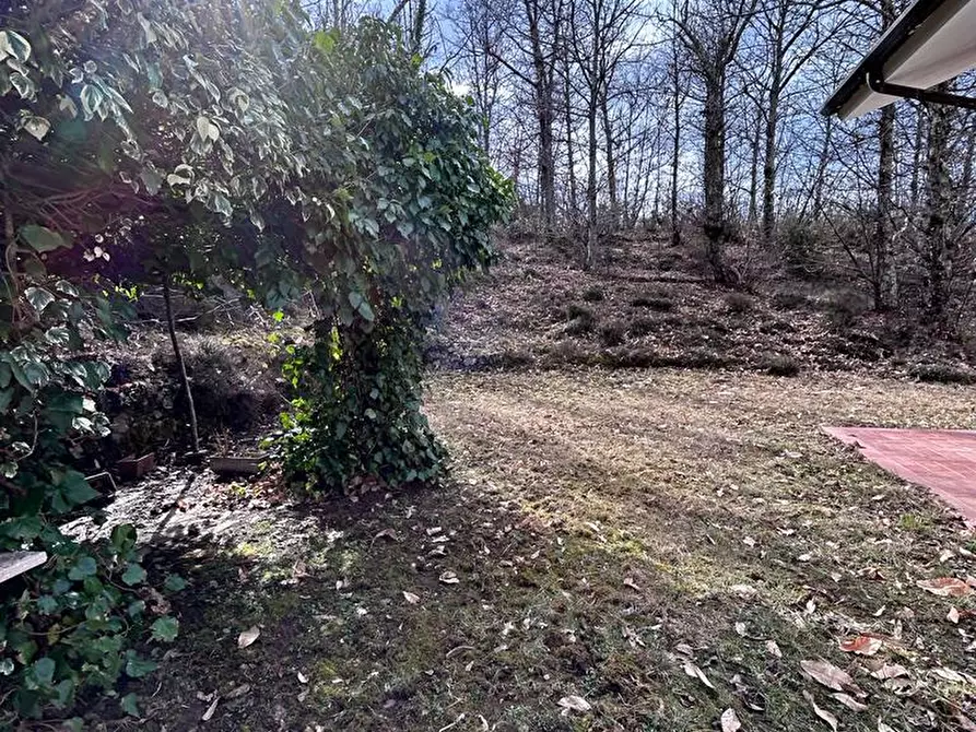 Immagine 32 di Casa indipendente in vendita  a Fosdinovo