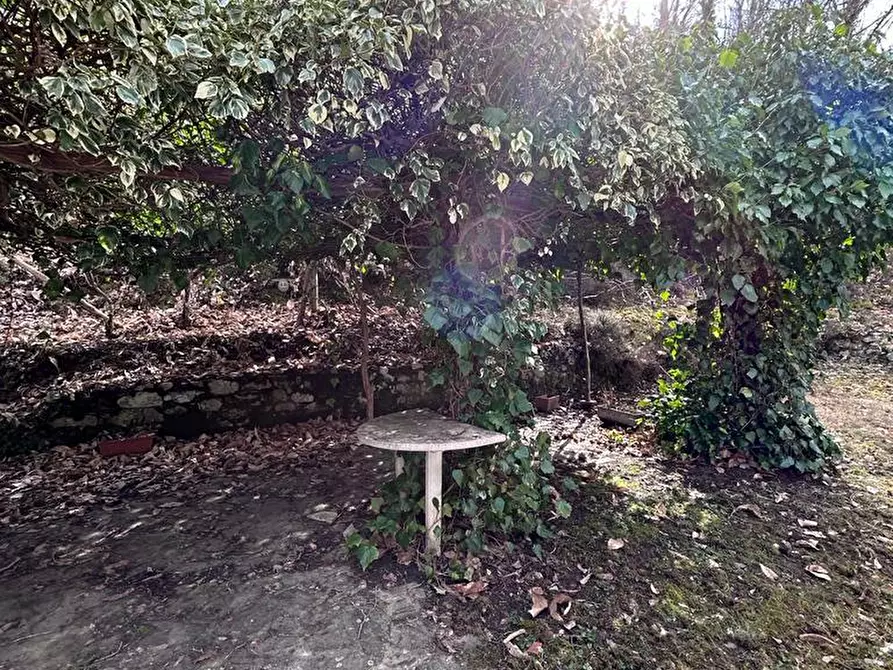 Immagine 31 di Casa indipendente in vendita  a Fosdinovo