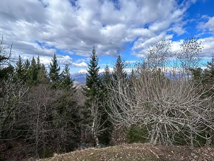Immagine 20 di Casa indipendente in vendita  a Fosdinovo