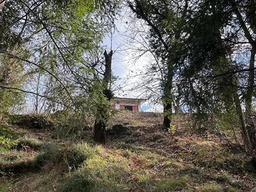 Immagine 29 di Casa indipendente in vendita  a Fosdinovo