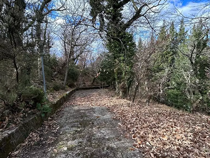 Immagine 25 di Casa indipendente in vendita  a Fosdinovo