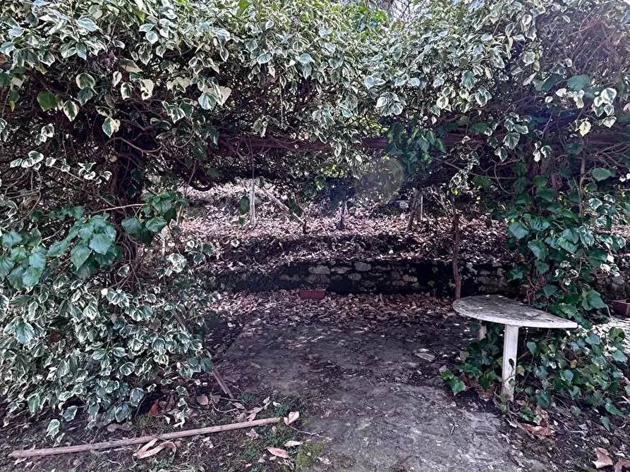 Immagine 30 di Casa indipendente in vendita  a Fosdinovo