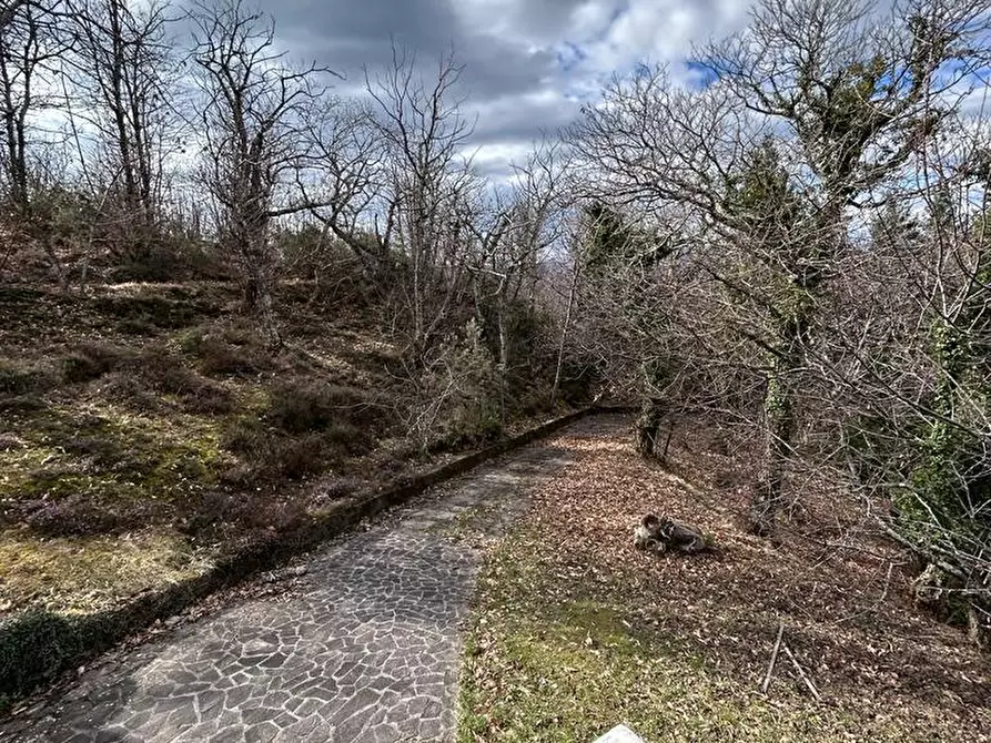 Immagine 43 di Casa indipendente in vendita  a Fosdinovo