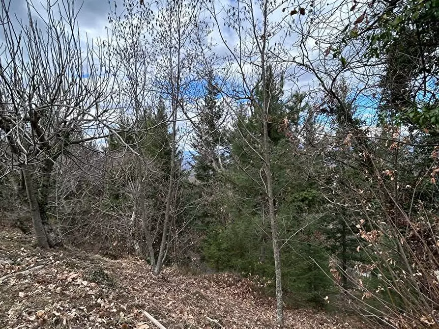 Immagine 67 di Casa indipendente in vendita  a Fosdinovo