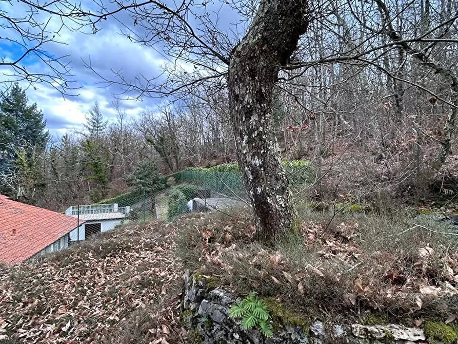 Immagine 68 di Casa indipendente in vendita  a Fosdinovo