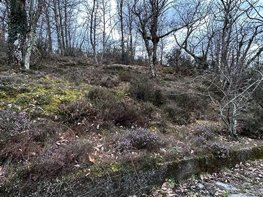Immagine 57 di Casa indipendente in vendita  a Fosdinovo