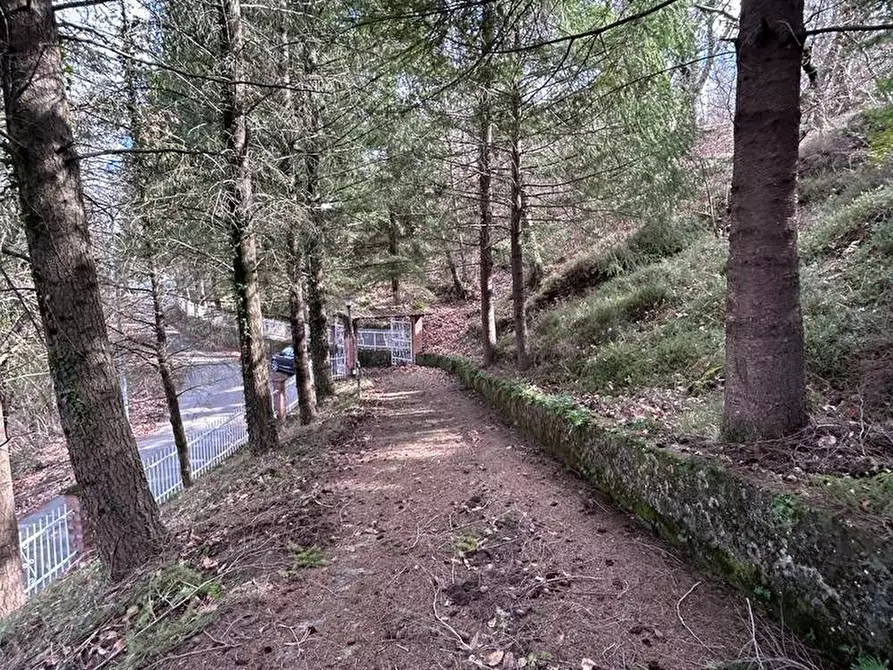 Immagine 27 di Casa indipendente in vendita  a Fosdinovo