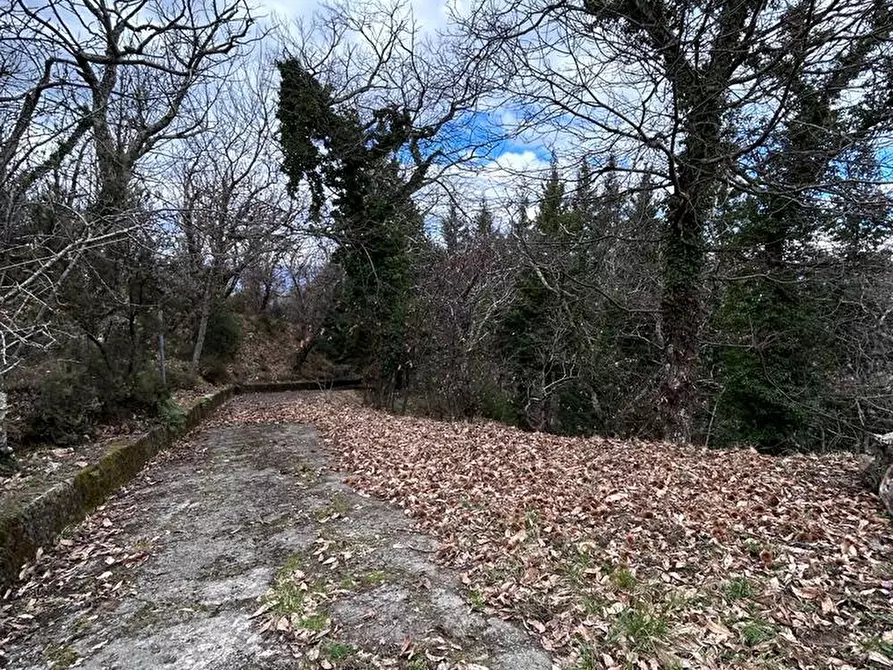 Immagine 56 di Casa indipendente in vendita  a Fosdinovo