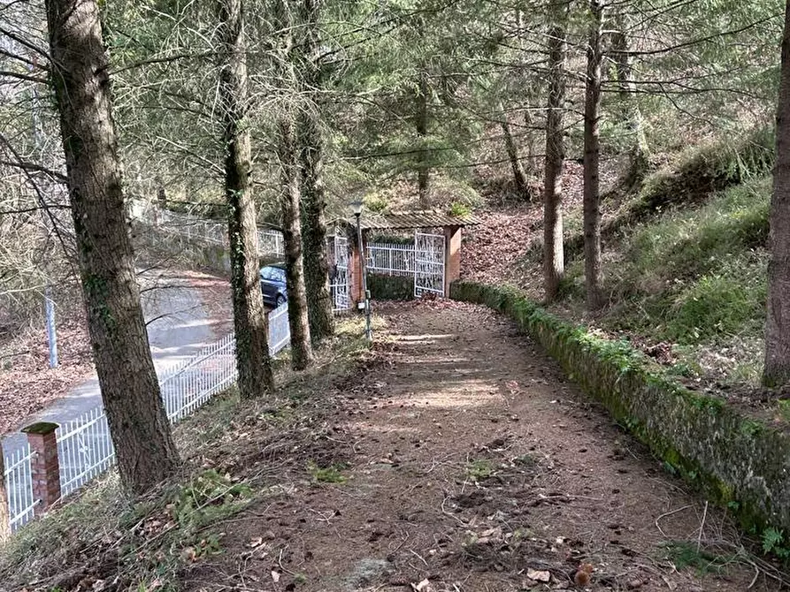 Immagine 26 di Casa indipendente in vendita  a Fosdinovo