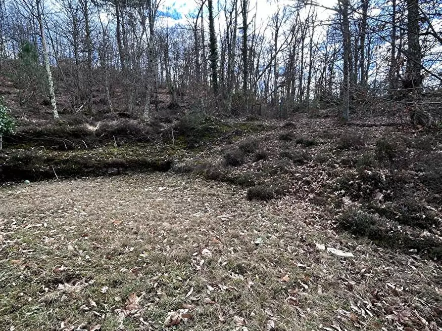 Immagine 22 di Casa indipendente in vendita  a Fosdinovo
