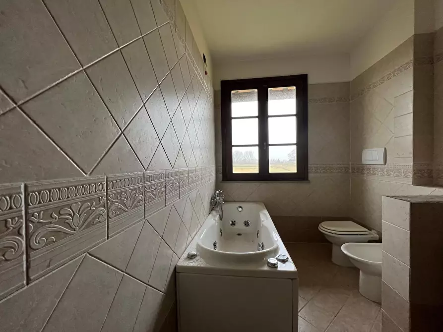 Immagine 9 di Casa colonica in vendita  a San Miniato