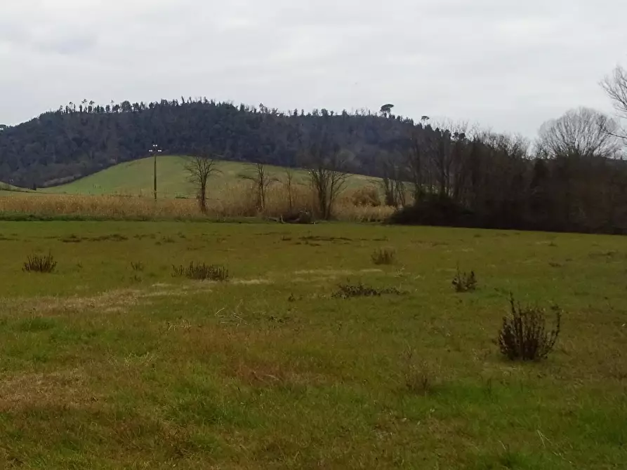 Immagine 1 di Terreno agricolo in vendita  a San Miniato