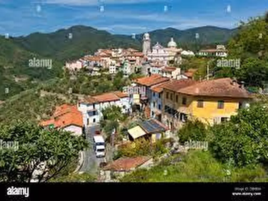 Immagine 7 di Casa bifamiliare in vendita  a Ortonovo