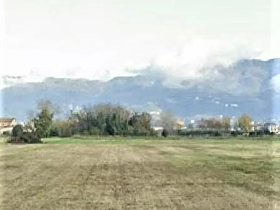Immagine 1 di Terreno agricolo in vendita  a Lucca
