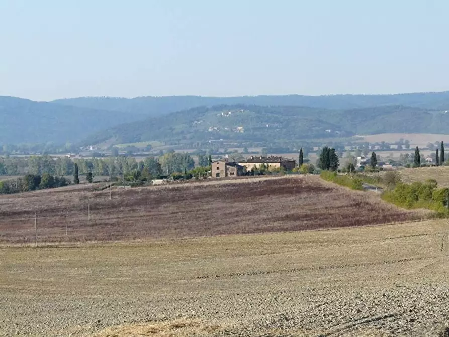 Immagine 5 di Porzione di casa in vendita  a Sovicille