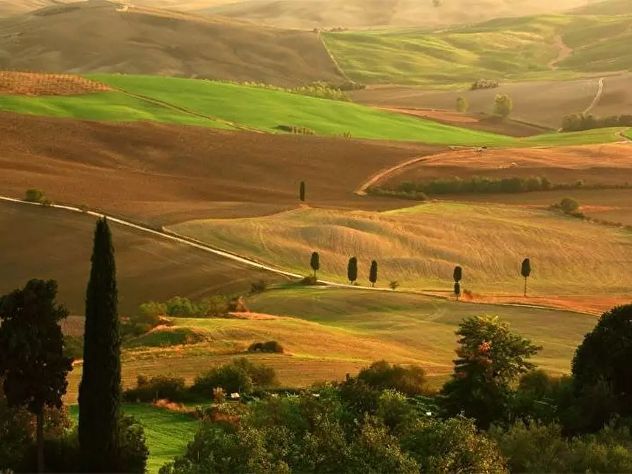 Immagine 12 di Porzione di casa in vendita  a Volterra