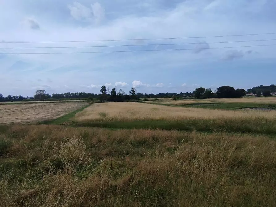 Immagine 30 di Terratetto in vendita  a Fucecchio