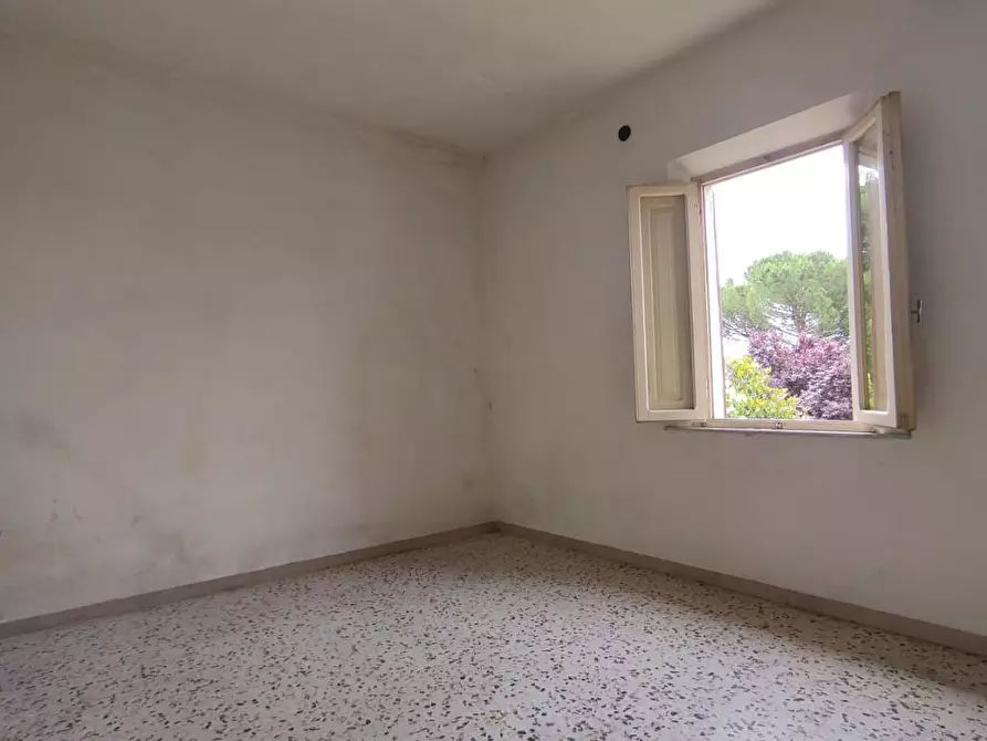 Immagine 18 di Terratetto in vendita  a Fucecchio