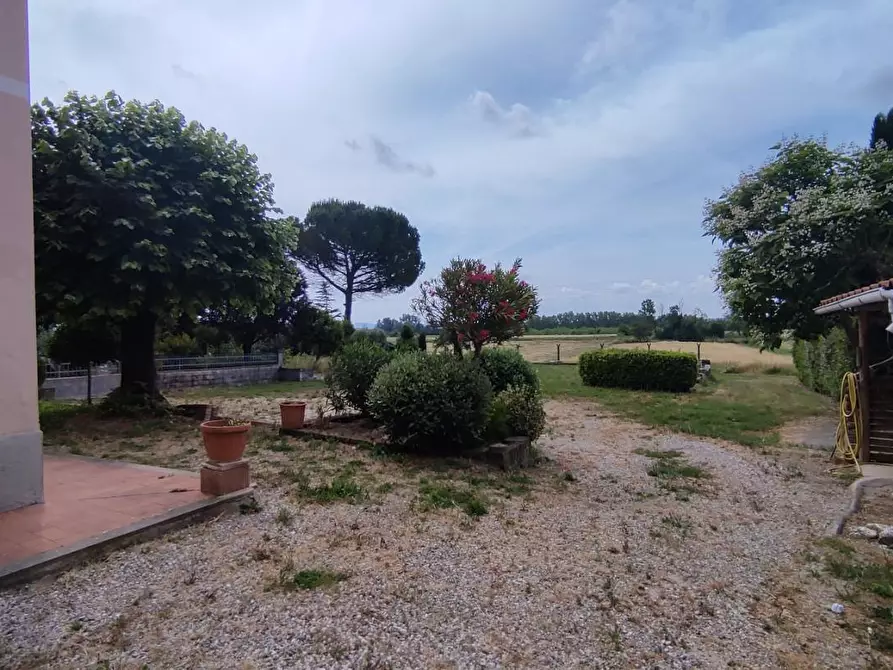 Immagine 5 di Terratetto in vendita  a Fucecchio