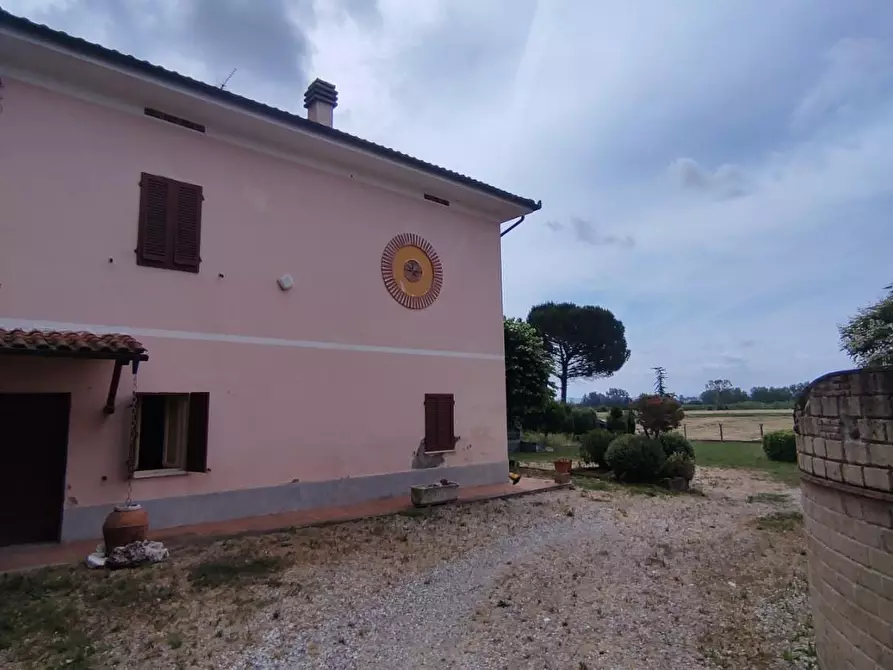 Immagine 3 di Terratetto in vendita  a Fucecchio