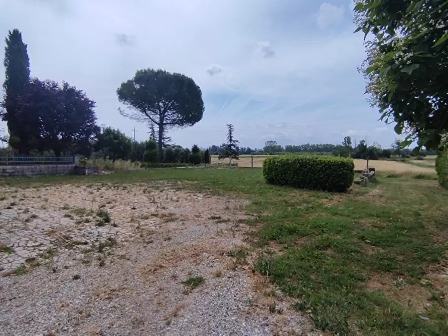 Immagine 29 di Terratetto in vendita  a Fucecchio