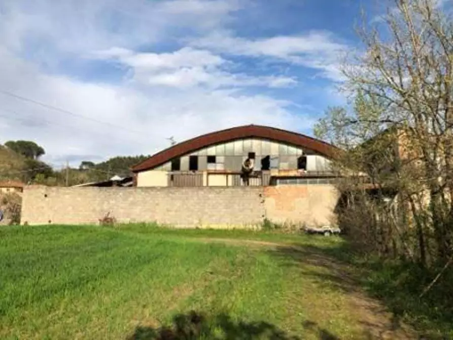 Immagine 3 di Attività artigianale in vendita  a Crespina Lorenzana