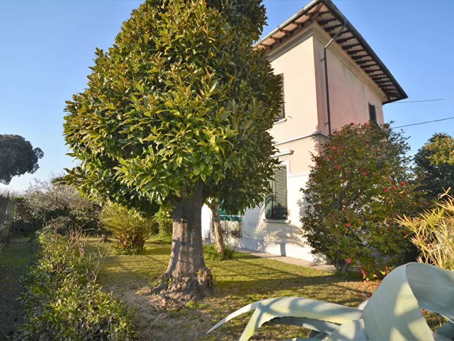 Immagine 2 di Villa in vendita  a Lucca