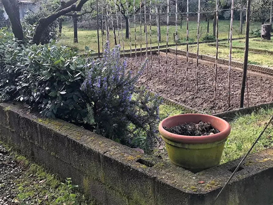 Immagine 22 di Villa in vendita  a Montelupo Fiorentino