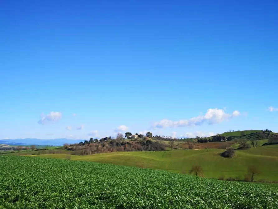 Immagine 1 di Terreno agricolo in vendita  a Capalbio