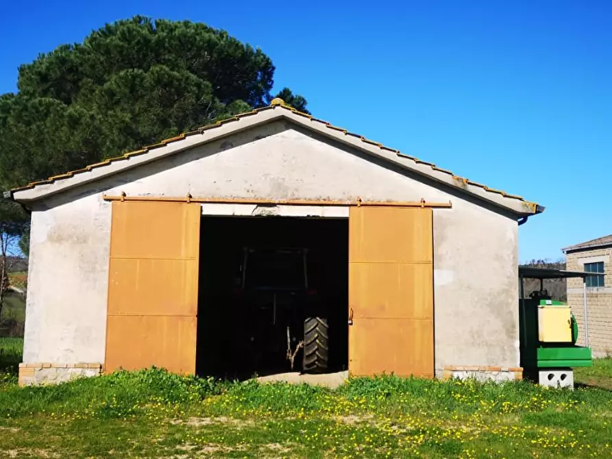 Immagine 11 di Terreno agricolo in vendita  a Capalbio