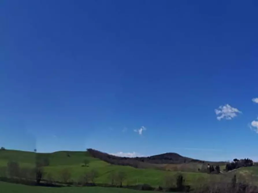 Immagine 8 di Terreno agricolo in vendita  a Capalbio