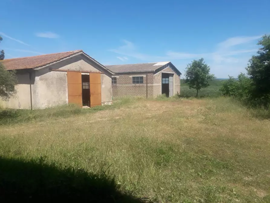 Immagine 15 di Terreno agricolo in vendita  a Capalbio