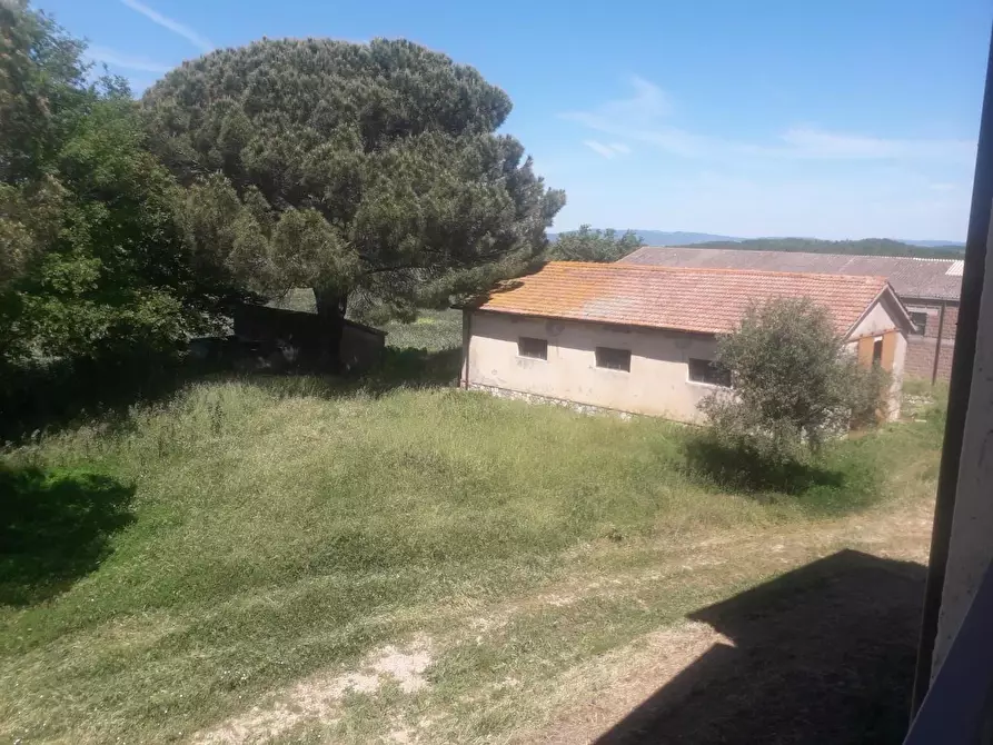 Immagine 16 di Terreno agricolo in vendita  a Capalbio