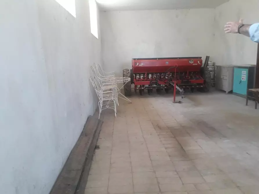 Immagine 14 di Terreno agricolo in vendita  a Capalbio