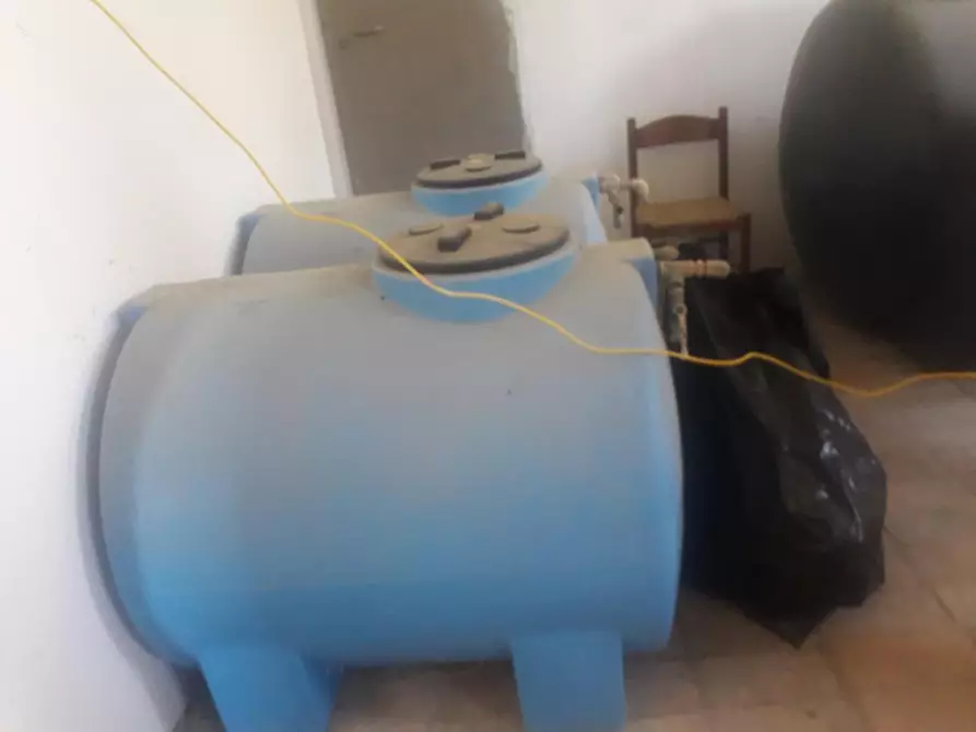 Immagine 13 di Terreno agricolo in vendita  a Capalbio