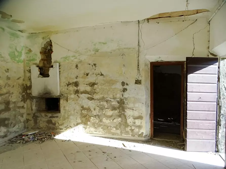Immagine 30 di Azienda agricola in vendita  a San Miniato