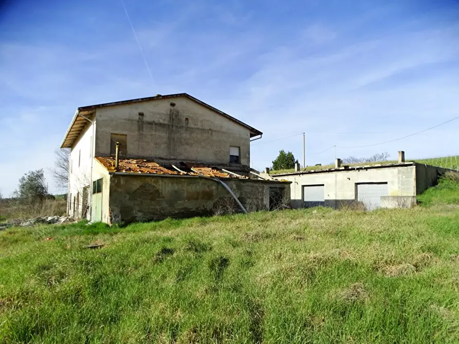 Immagine 21 di Azienda agricola in vendita  a San Miniato