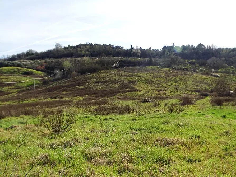 Immagine 3 di Azienda agricola in vendita  a San Miniato