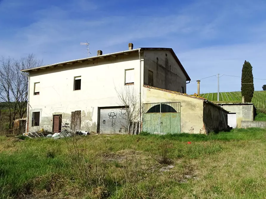 Immagine 19 di Azienda agricola in vendita  a San Miniato