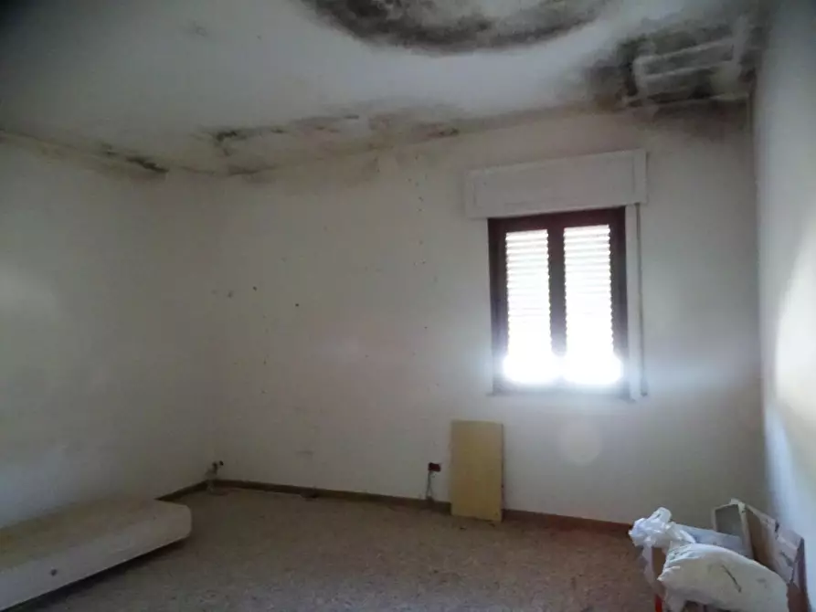 Immagine 37 di Azienda agricola in vendita  a San Miniato