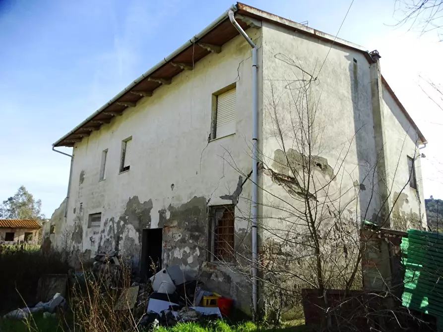Immagine 41 di Azienda agricola in vendita  a San Miniato